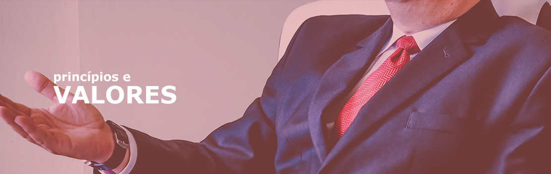 princ�pios de valores